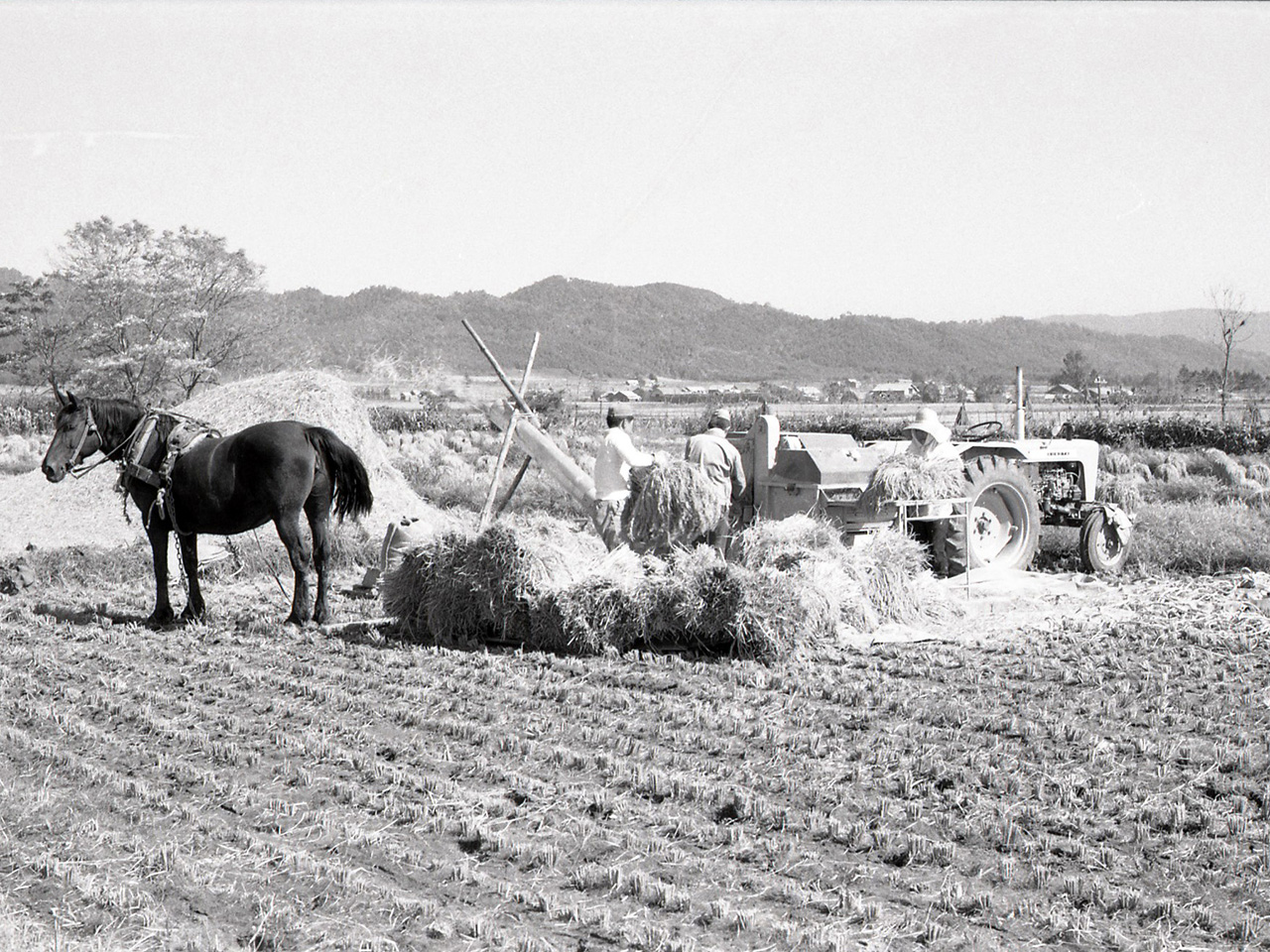 画像：沼田の農業